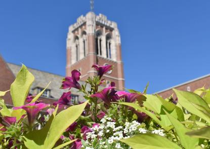 Belltower with flowers in focus in foreground