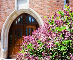 Rodman Hall doors that face the quad showing trees with purple buds