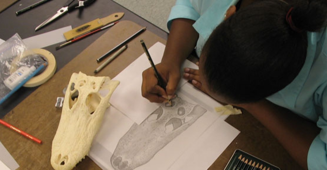 Student sketching a skull