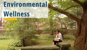 Environmental Wellness