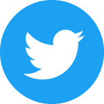 Twitter social icon