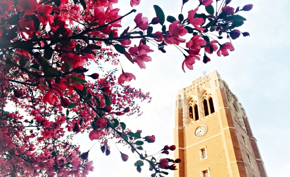 Tower showing with pink spring flowers