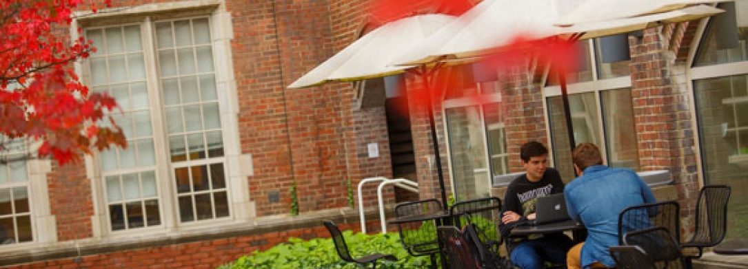 Two male students studying outside at a table in the courtyard in the fall