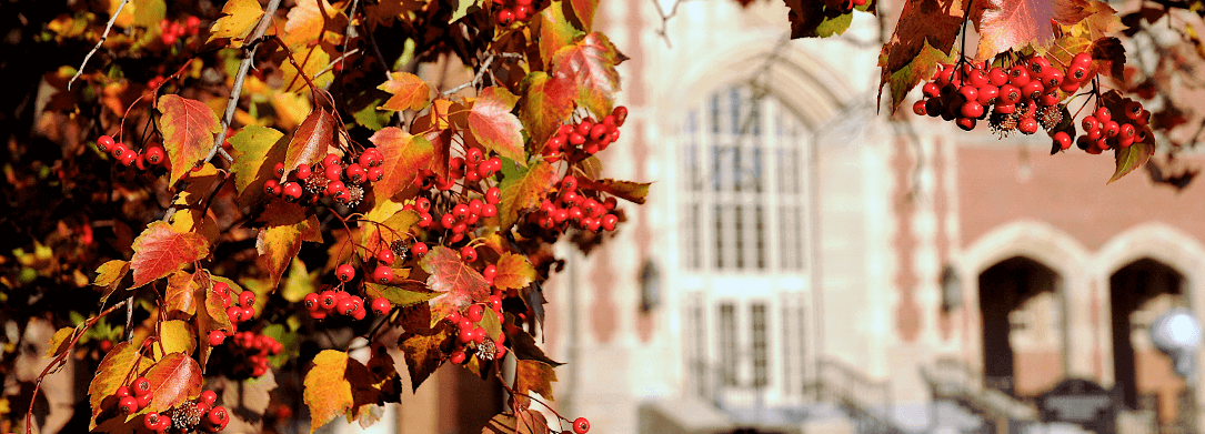 fall leaves with the administration building in the background