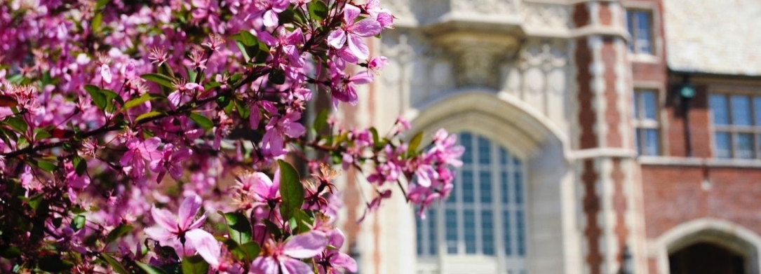 Flowers in from of Bell Tower