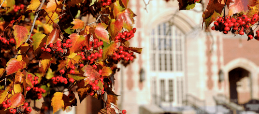 fall leaves with the administration building in the background