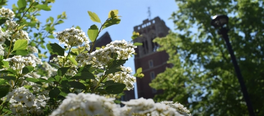 spring campus flowers and JCU clock tower